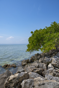 Tampa Causeway