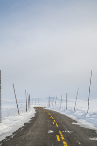 Winter Road