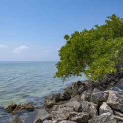 Tampa Causeway