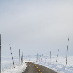 Winter Road