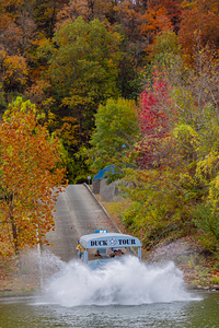 B58A7284 Chattanooga Ducks