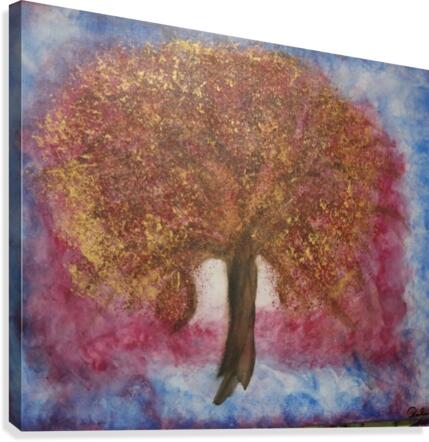 Illusions Canvas Print
