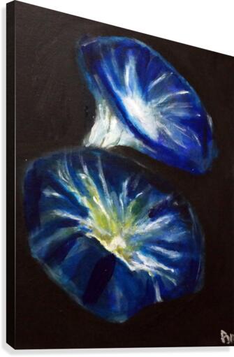 Harmony Canvas Print