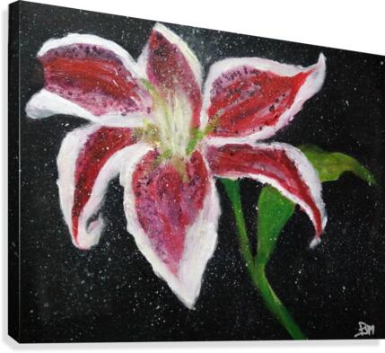 Star Struck Canvas Print
