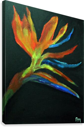 Paradise Canvas Print