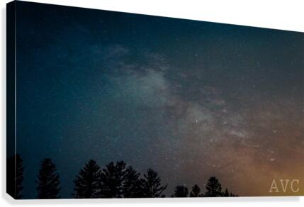 Goodnight Forest Canvas Print