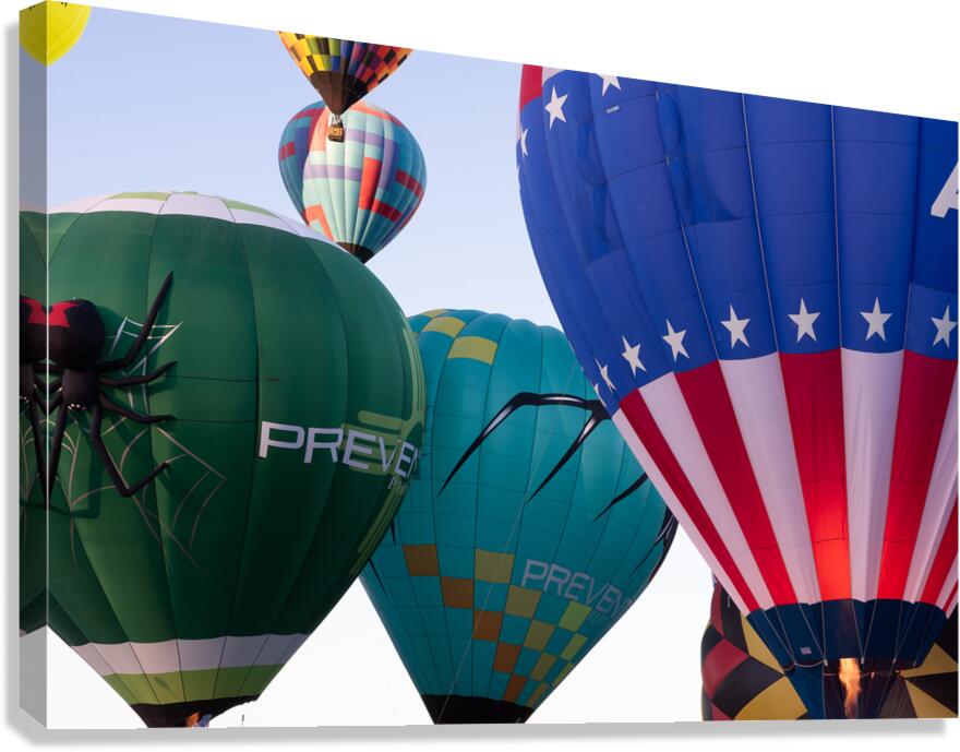 Baloons9309 Canvas Print