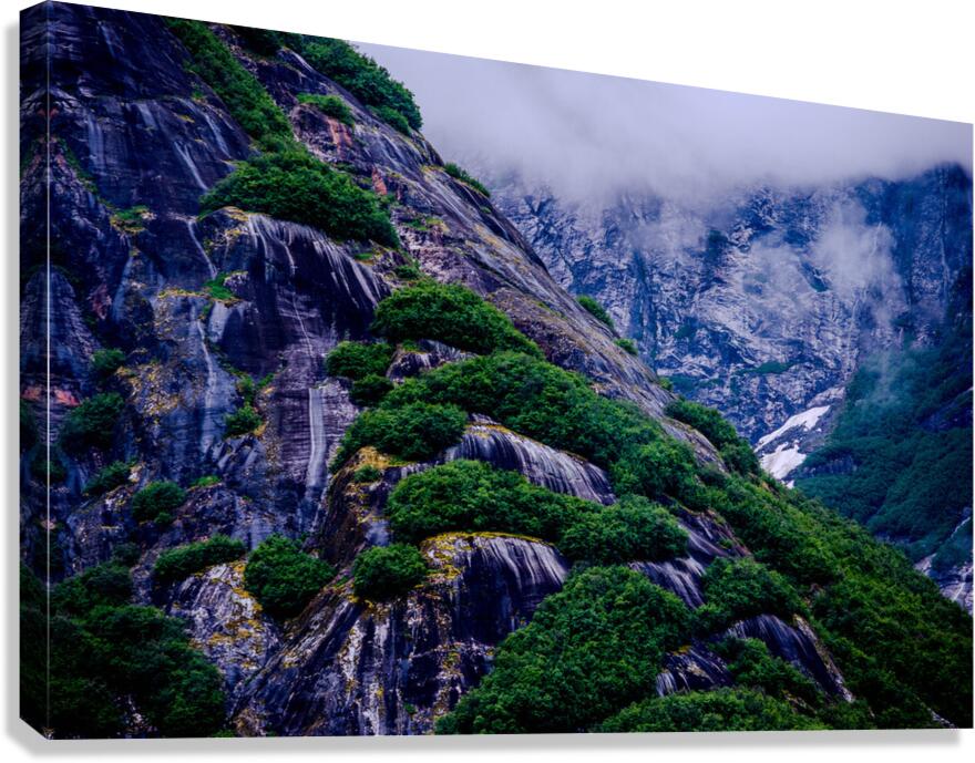Alaska 4 Canvas Print