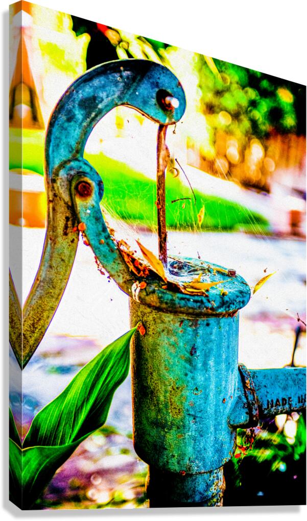 DSC 1979 Edit Canvas Print