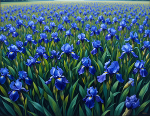Iris Garden Serenity