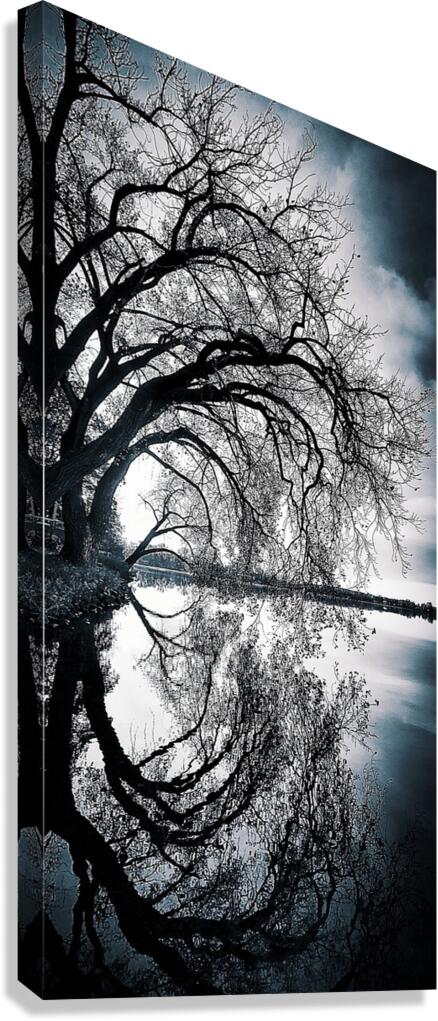 Milo s Tree Canvas Print