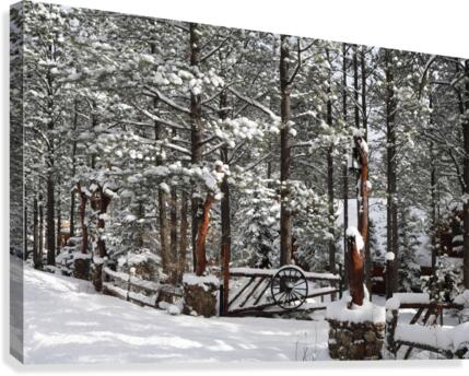 Winter Ranch Canvas Print