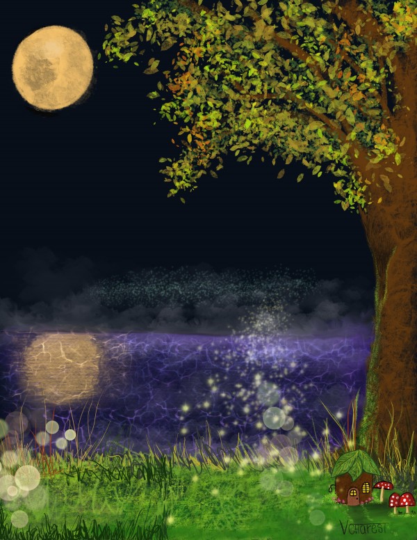 Feerie dune nuit dete by Vicky Charest