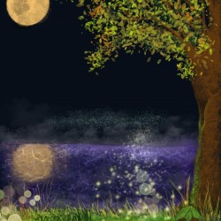 Feerie dune nuit dete