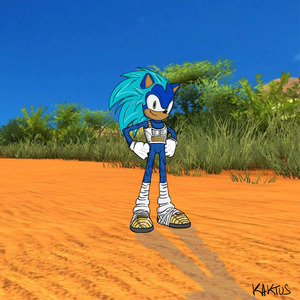 Sonic en Vegeta