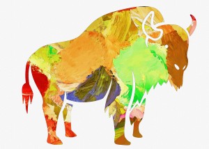 Bison