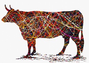 Cow