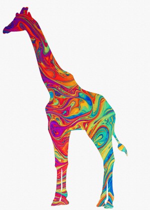 giraffe