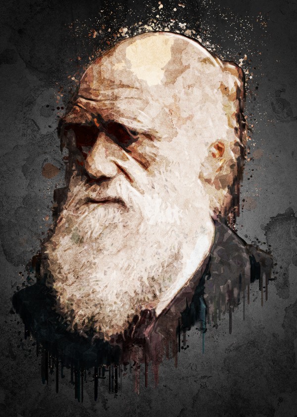 Charles Darwin. Print