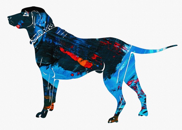 Dog Print