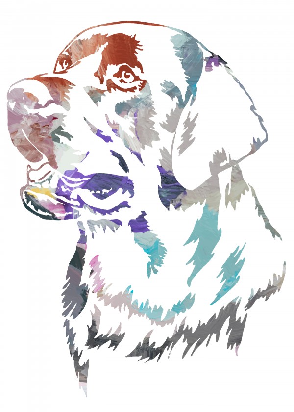 Dogs head Print