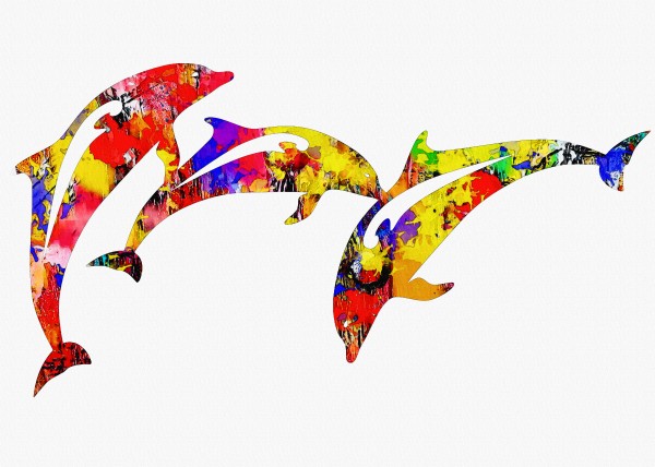 Dolphin Print