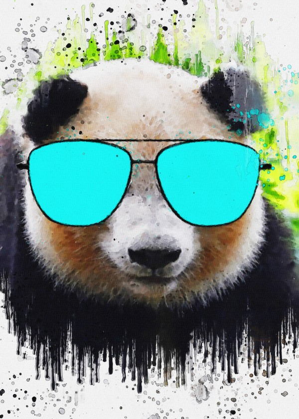Panda 1 Print