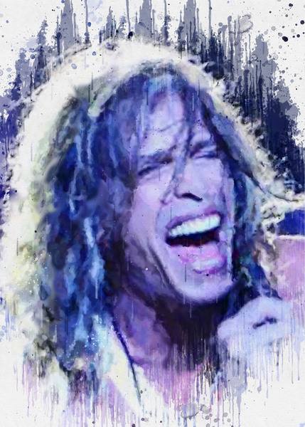 Steven Tyler Print