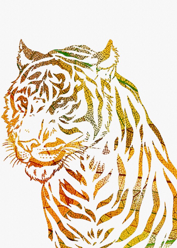 Tiger Print