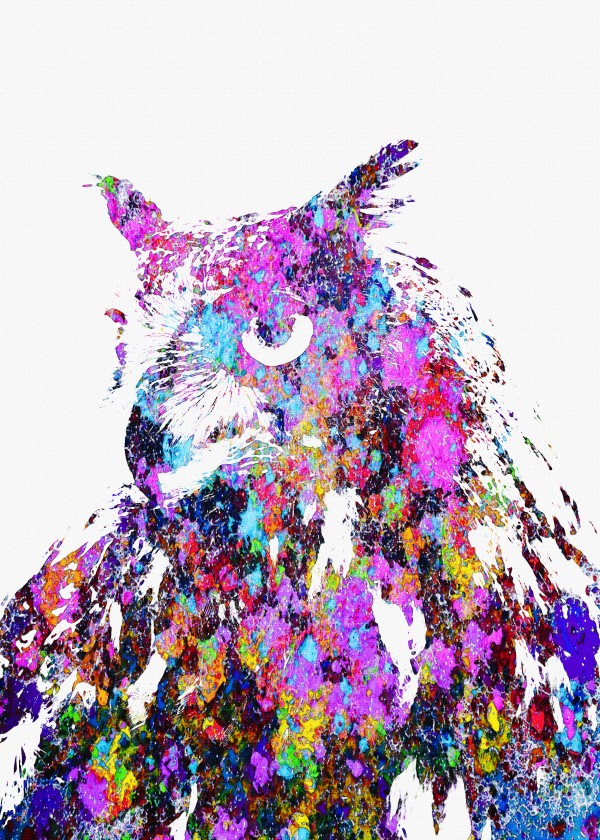 owl Print