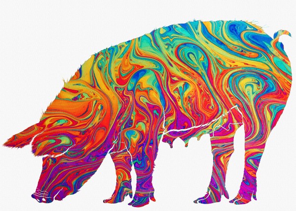 pig Print