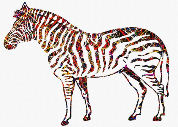 zebra Print