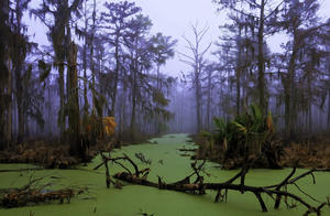 JURASSIC SWAMP ORIGINAL