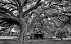 HALLOWED GROUND 2