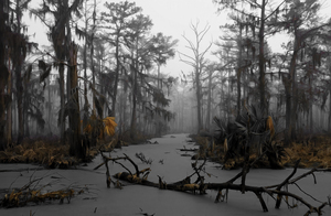 JURASSIC SWAMP SELECTIVE COLOR