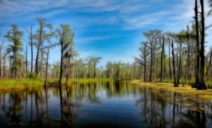 LOU -Z- ANA BAYOU  DREAM LIKE EFFECT