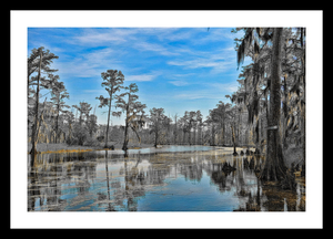 DOWN ON THE BAYOU II
