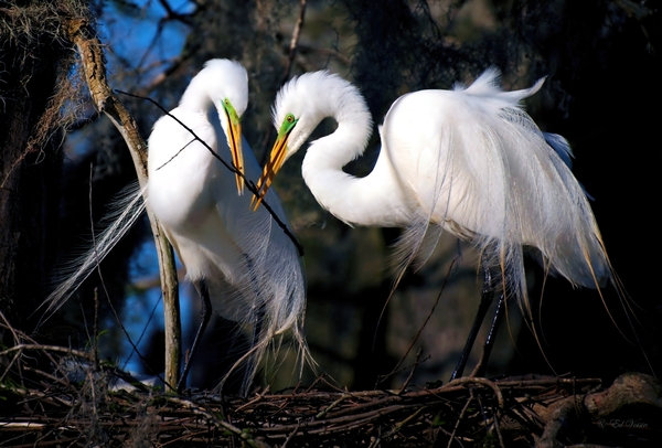 WORKING TOGETHER by Digicam