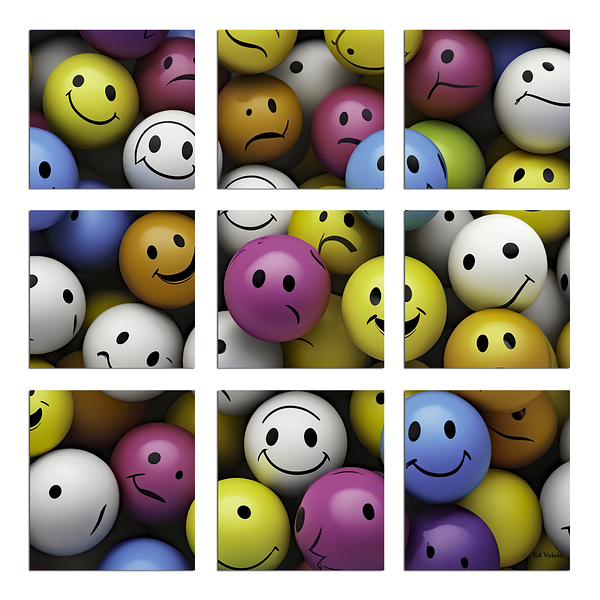 WINDOW OF EXPRESSIONS by Digicam