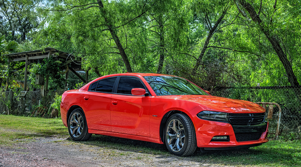  DODGE HEMI CHARGER by Digicam