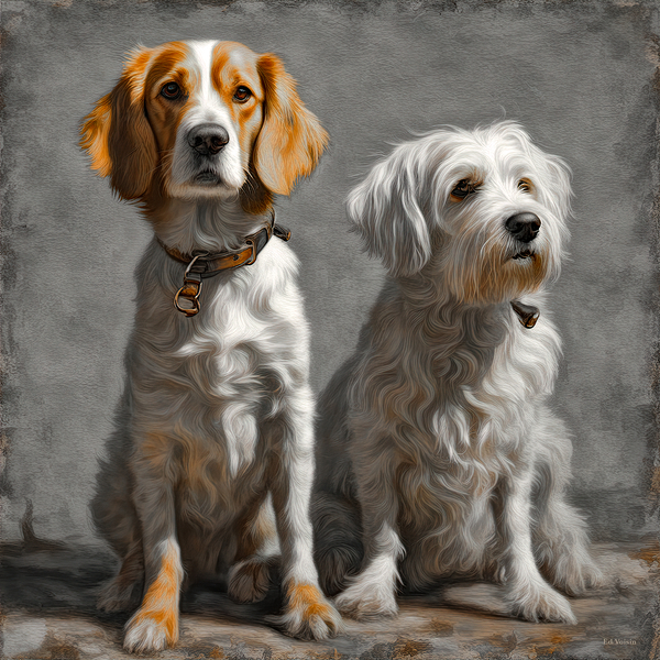 BUDDIES 2 by Digicam