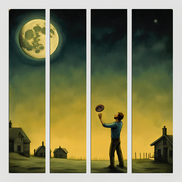 FLY ME TO THE MOON by Digicam