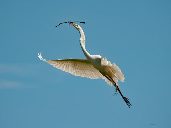 PERFECT BALANCE Print