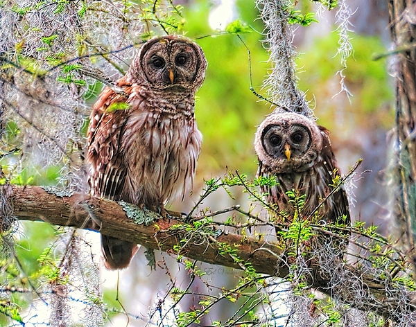 YOU LOOKING AT ME by Digicam