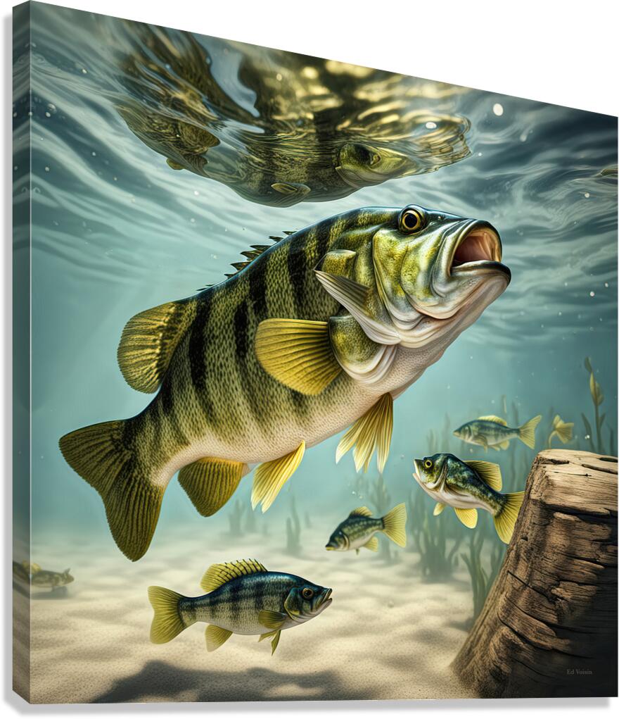 REFLECTION Canvas Print