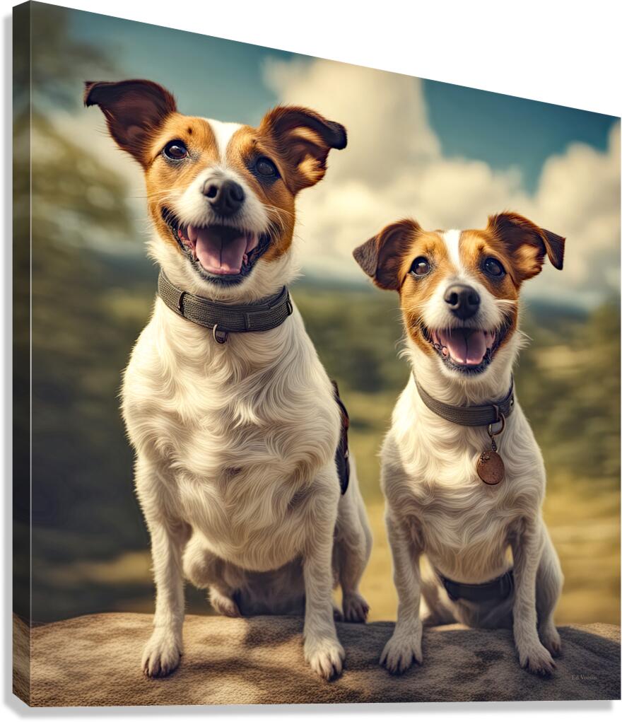 JACKS ARE WILD Canvas Print