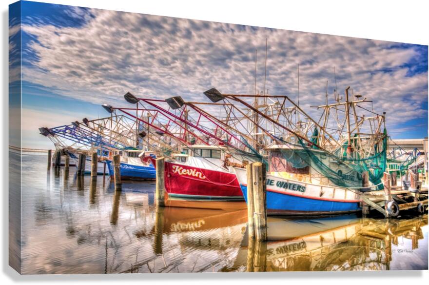 SKIMMERS Canvas Print