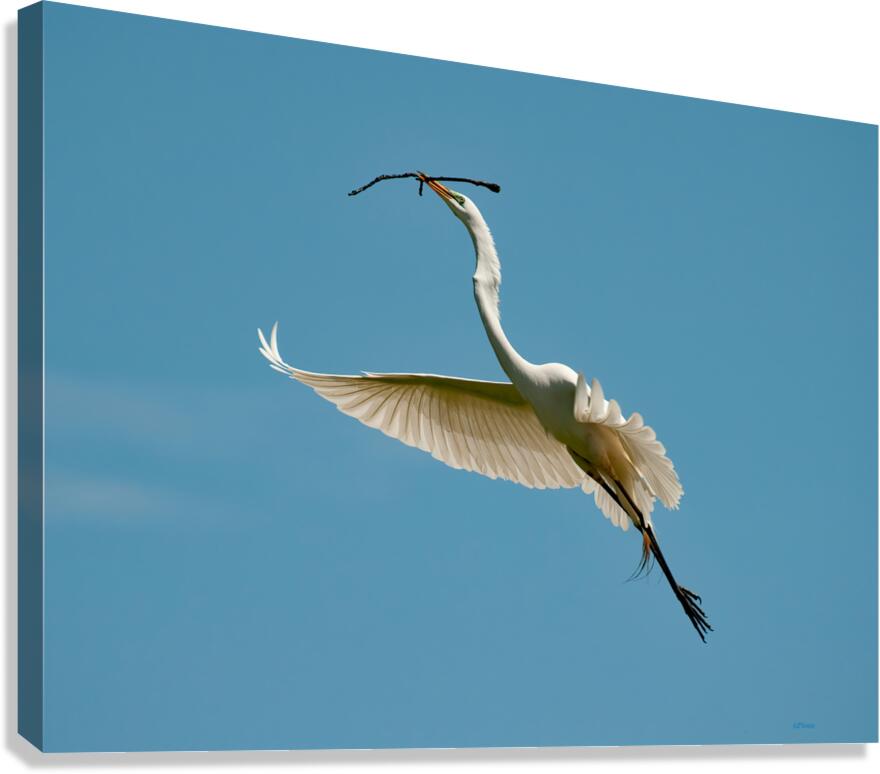 PERFECT BALANCE Canvas Print