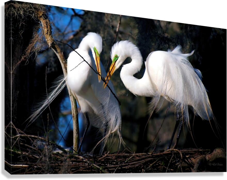 WORKING TOGETHER Canvas Print