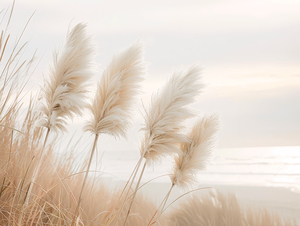Poetry by the sea - Pampas grass in evening light